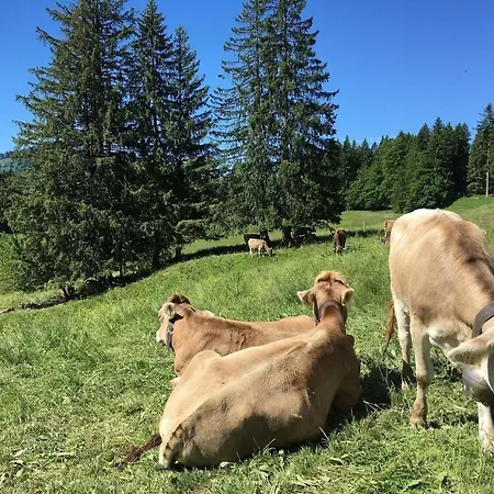 Holiday home Nr 82, Kategorie Komfort, Hochbergle, Allgaeu Bichel